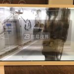 透明LED屏制作方案在優化用戶體驗方面具備哪些創新優勢？